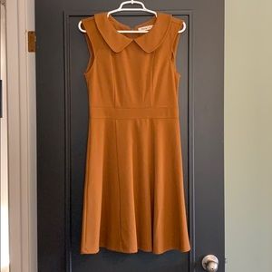 Collar Dress